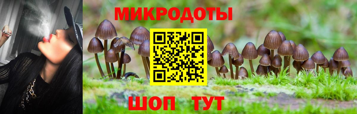 Черкесск  Псилоцибиновые грибы Psilocybe  Вход с VPN 